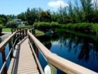 Walkway across Water